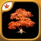 Fire Maple Games - Collection iOS Icon