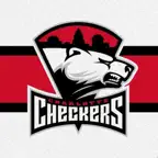 The Charlotte Checkers Icon