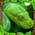 Snake Simulator iOS Icon