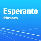 Learn Esperanto Phrasebook Pro iOS Icon