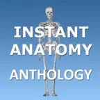 Instant Anatomy Anthology icon