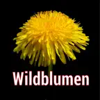 Wildblumen Mitteleuropas iOS Icon