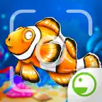 Fishy Ola - Fish Paparazzi iOS Icon