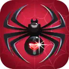 Ace Spider Solitaire iOS Icon