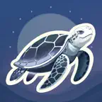What the Shell Icon