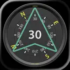 Compass Pro - Aircraft icon