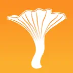 My Mushroom Spots iOS Icon