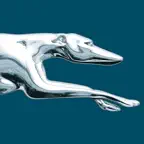 Greyhound: Buy Bus Tickets Icon