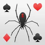 Spider Solitaire Swift iOS Icon