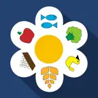 Six Petals iOS Icon