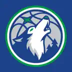 Minnesota Timberwolves Icon