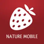 Wild Berries and Herbs 2 PRO icon