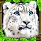 Snow Leopard Simulator iOS Icon