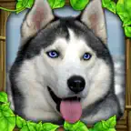 Stray Dog Simulator iOS Icon