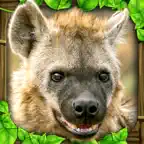 Hyena Simulator iOS Icon