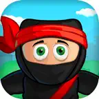 Ninja Crossing Hero Icon