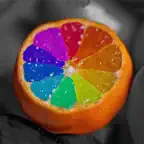 Color Changer-Coloring Editor iOS Icon