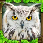 Owl Simulator iOS Icon