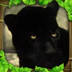 Panther Simulator iOS Icon