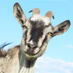 3D Goat Rescue Runner Simulator Game for Boys and Kids FREE iOS Icon