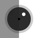OnionSkinCapture iOS Icon