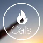 Θερμιδομετρητής - Διατροφή iOS Icon