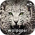 Animal Wild Wallpaper HD iOS Icon