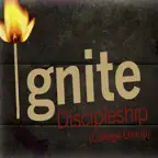 Ignite Database iOS Icon