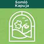 Somló GUIDE@HAND Icon