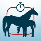Safe Foal iOS Icon