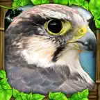 Falcon Simulator iOS Icon