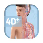 Humanoid 4D+ iOS Icon