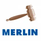 Merlin LiveBid iOS Icon