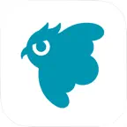 Safie Viewer Icon