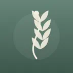 Todesfall - Der Ratgeber iOS Icon