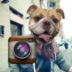 Animal Face Photo Booth iOS Icon