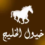 خيول الخليج iOS Icon
