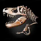 The Lost Lands: Dinosaur Hunter iOS Icon