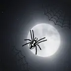 Spider-Web iOS Icon