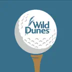 Wild Dunes Golf iOS Icon