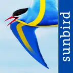 All Birds Sweden - Photo Guide iOS Icon