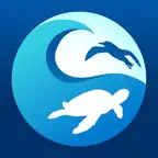 Clean Swell iOS Icon
