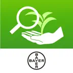 Bayer Crop S.A. iOS Icon