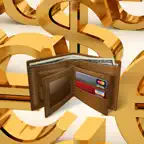 Money Pro - Budget Book icon