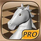 Chess Prime 3D Pro iOS Icon