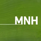 Museo de la Naturaleza y el Hombre iOS Icon