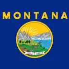Montana Classic Solitaire iOS Icon
