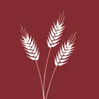 Artisan Bread for  iPad iOS Icon