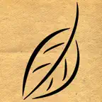 Mind Sensus iOS Icon