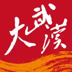 大武汉 Icon